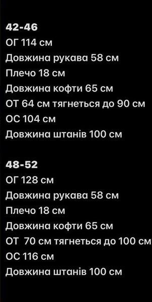 Женский спортивный коричневый костюм теплый на флисе 48-52 2203-7 фото