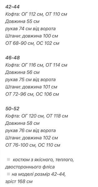 Жіночий сірий прогулянковий теплий костюм на флісі 3418 фото